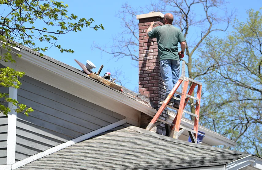Chimney & Fireplace Inspections Services in Tallahassee, FL